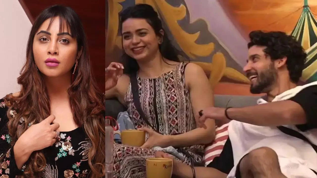 Bigg Boss 11's Arshi Khan calls out Gautam Vig-Soundarya Sharma for creating fake love angle