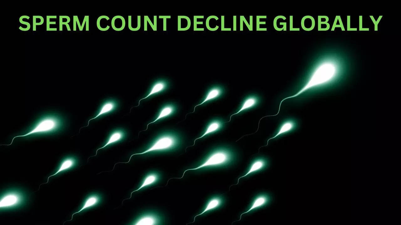 Sperm count decline globally