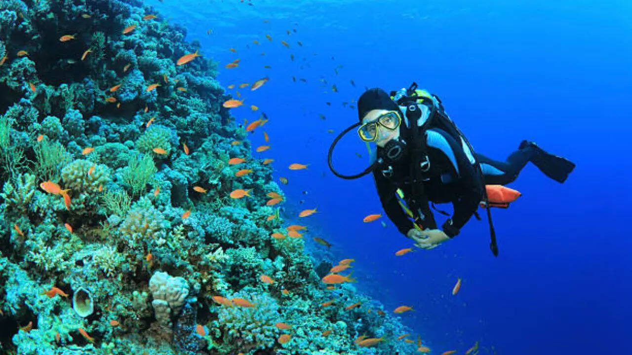 India Malvan, Grande Island and other cheap places for scuba diving in India VIDEO, Travel
