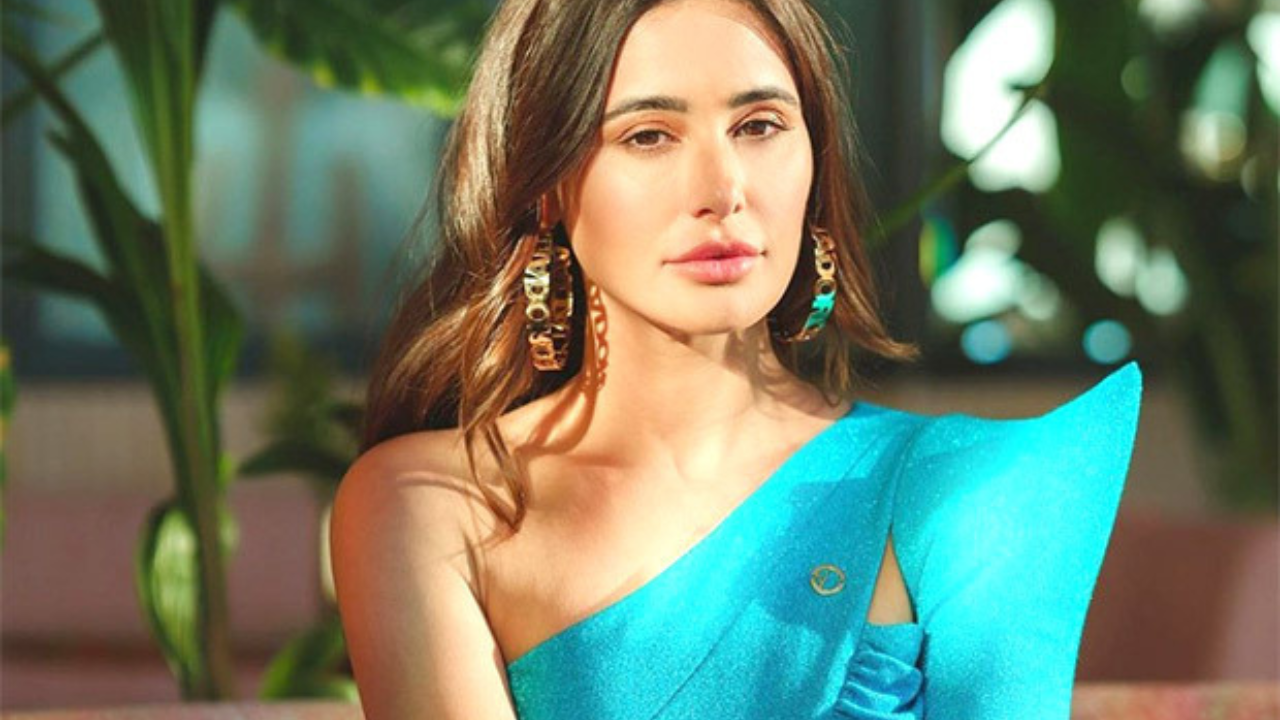 Nargis Fakhri FINALLY reacts to dating rumours with businessman Tony Beig 