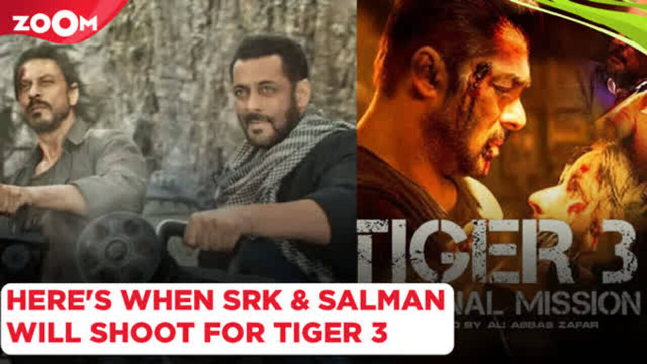 REVEALED! Here's when Shah Rukh Khan will shoot for Salman Khan's Tiger ...