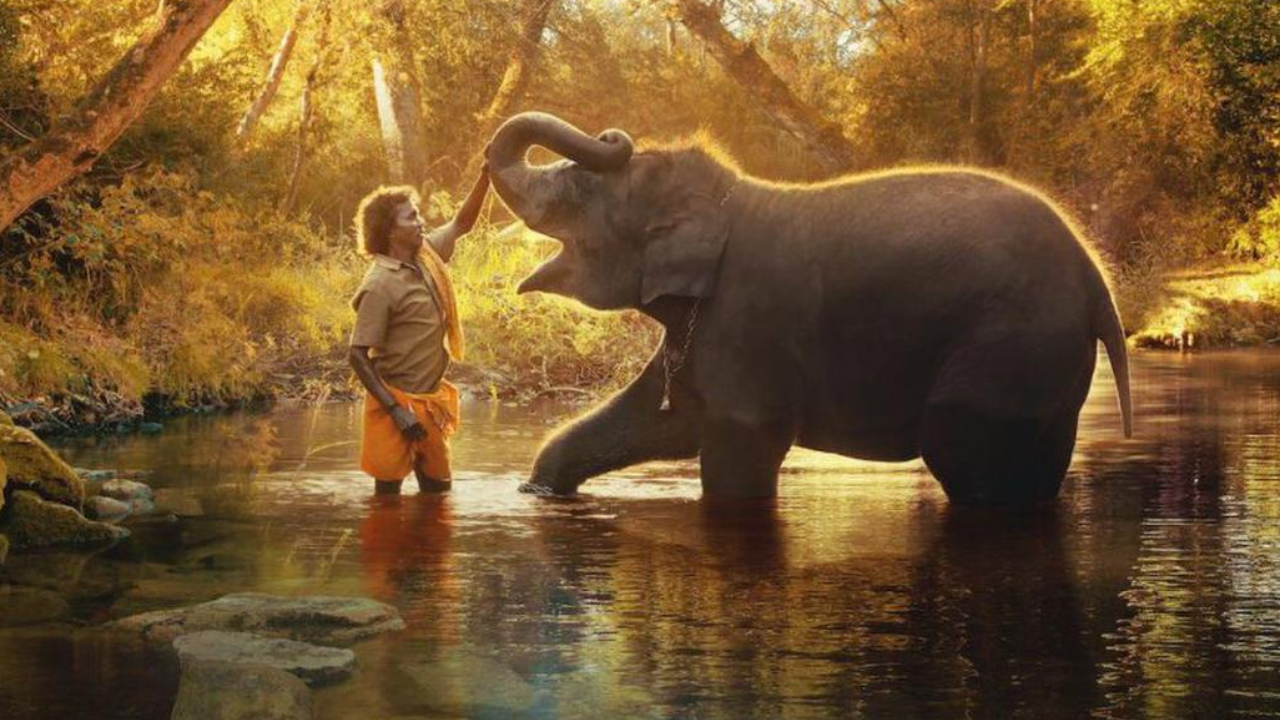 Films competing against The Elephant Whisperers at Oscars 2023