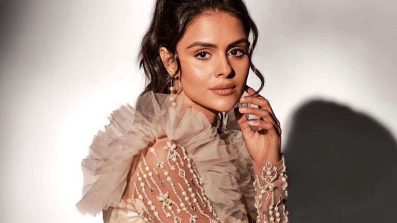 Bigg Boss 16's Priyanka Chahar Choudhary COPIED Styles From Designer